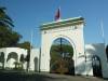 124 - 20181002 Day09 Tarifa Tangier