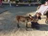 128 - 20181002 Day09 Tarifa Tangier