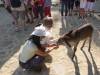 129 - 20181002 Day09 Tarifa Tangier