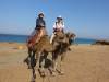 142 - 20181002 Day09 Tarifa Tangier