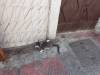 176 - 20181002 Day09 Tarifa Tangier