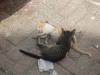 260 - 20181002 Day09 Tarifa Tangier