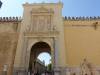 138 - 20181004 Day11 Cordoba