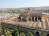 145 - 20181004 Day11 Cordoba