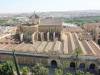 146 - 20181004 Day11 Cordoba
