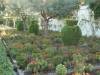 226 - 20181004 Day11 Cordoba