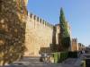 260 - 20181004 Day11 Cordoba