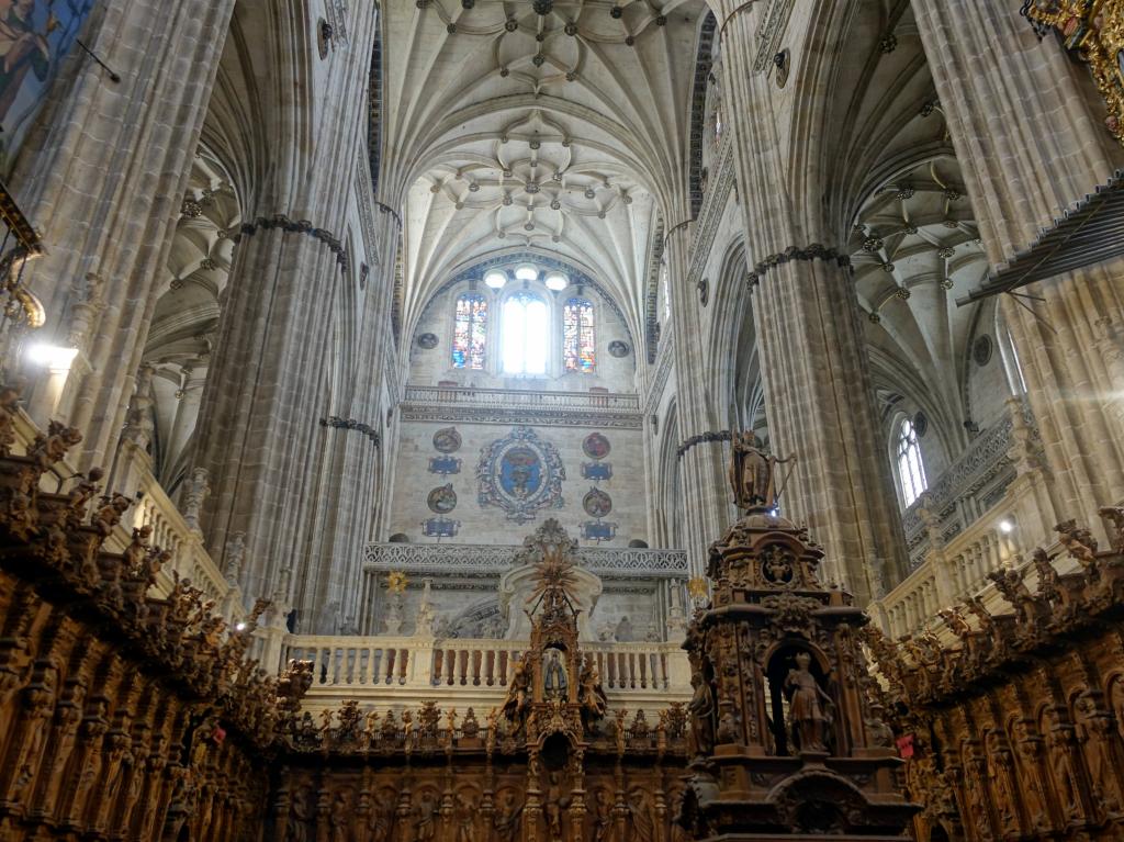 290 - 20181011 Salamanca Cathedral