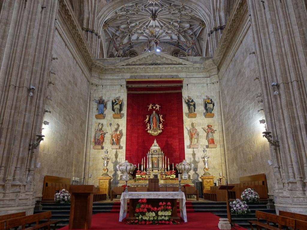 298 - 20181011 Salamanca Cathedral