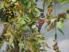 111 - 20181020 Denver Museum Nature n Science
