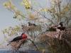 115 - 20181020 Denver Museum Nature n Science