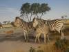 127 - 20181020 Denver Museum Nature n Science