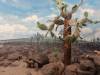 142 - 20181020 Denver Museum Nature n Science