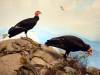 150 - 20181020 Denver Museum Nature n Science