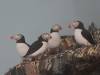 156 - 20181020 Denver Museum Nature n Science