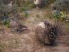158 - 20181020 Denver Museum Nature n Science