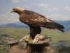 164 - 20181020 Denver Museum Nature n Science