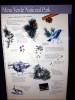 167 - 20181020 Denver Museum Nature n Science