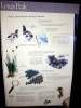 168 - 20181020 Denver Museum Nature n Science