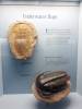 169 - 20181020 Denver Museum Nature n Science