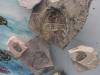 170 - 20181020 Denver Museum Nature n Science