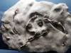 177 - 20181020 Denver Museum Nature n Science