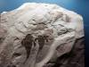 178 - 20181020 Denver Museum Nature n Science