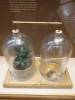 181 - 20181020 Denver Museum Nature n Science