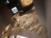 182 - 20181020 Denver Museum Nature n Science