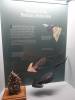 185 - 20181020 Denver Museum Nature n Science