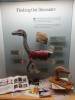 187 - 20181020 Denver Museum Nature n Science