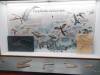 188 - 20181020 Denver Museum Nature n Science