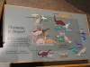 189 - 20181020 Denver Museum Nature n Science
