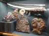 192 - 20181020 Denver Museum Nature n Science