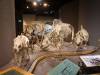 199 - 20181020 Denver Museum Nature n Science