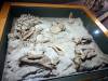 200 - 20181020 Denver Museum Nature n Science