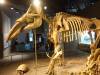 202 - 20181020 Denver Museum Nature n Science
