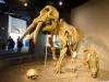 203 - 20181020 Denver Museum Nature n Science