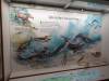 204 - 20181020 Denver Museum Nature n Science