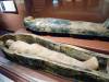 215 - 20181020 Denver Museum Nature n Science