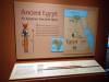 217 - 20181020 Denver Museum Nature n Science