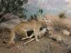 219 - 20181020 Denver Museum Nature n Science