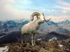 225 - 20181020 Denver Museum Nature n Science