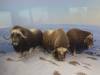 226 - 20181020 Denver Museum Nature n Science