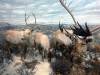 227 - 20181020 Denver Museum Nature n Science