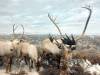 228 - 20181020 Denver Museum Nature n Science