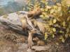 229 - 20181020 Denver Museum Nature n Science