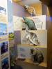 233 - 20181020 Denver Museum Nature n Science