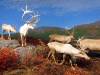 235 - 20181020 Denver Museum Nature n Science
