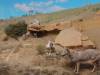 238 - 20181020 Denver Museum Nature n Science